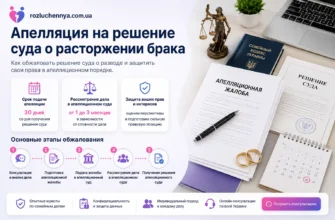 Апелляция на решение суда о расторжении брака с подготовкой жалобы и юридическим сопровождением