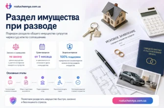 Раздел имущества при разводе через суд с документами, жильем и юридическим сопровождением