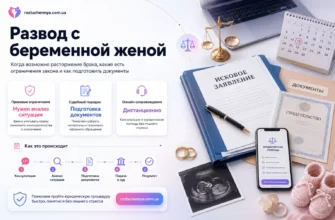 Развод с беременной женой, судебный порядок и подготовка документов